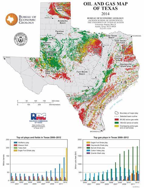 texas oil and gas - Field Geo Services Inc